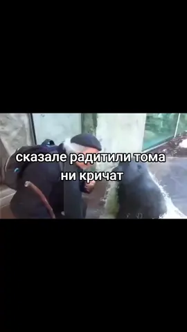 #топ #реки #рекомендации #monkey #врек 