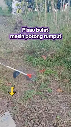 Pisau bulat mata intan mesin potong rumput #pisautajam🔪 #gratisongkir #potongrumput #mesinpotongrumput #mesinrumput 