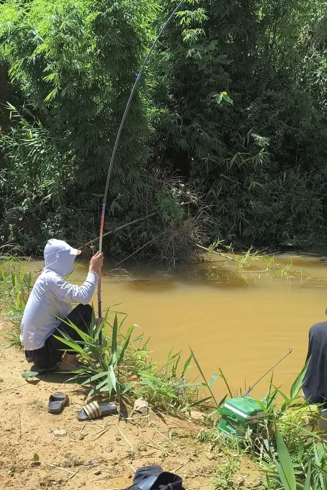ae gửi hết ảnh báo cá vào đây nào  tôi báo trước 🤣#câucá #fishing #47daklak 