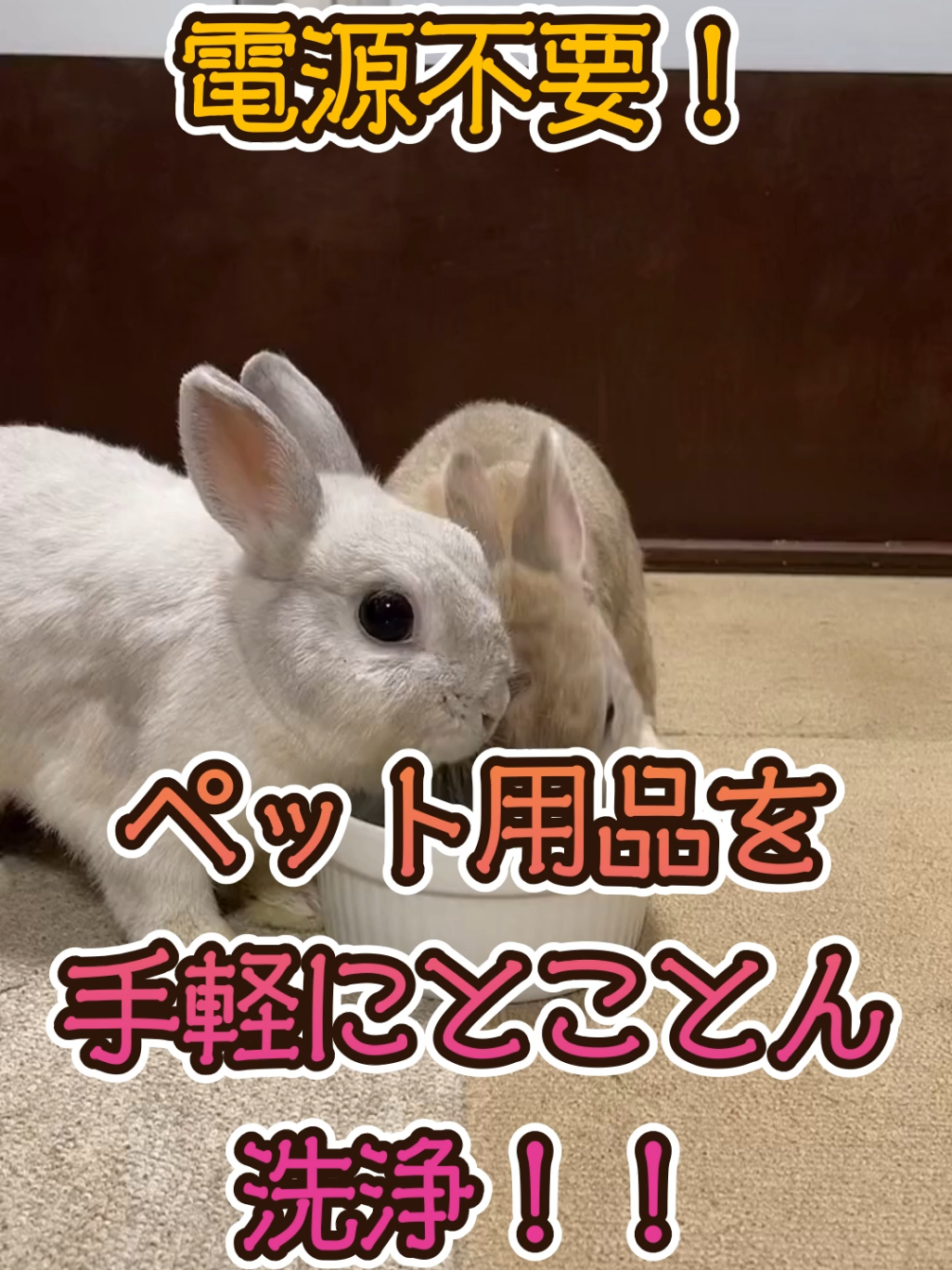 うさぎなどのケージやマットを手軽に本格洗浄✨ 👇️洗濯機はこちらの動画をご覧くださいね @生き物と暮らすマサカズ  #うさぎ #ペット  #TikTokShopこれ買い 