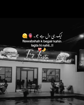 Repost nawabshah lover ❤️ #nawabshahlovers🔥❣️ #viewprobem🥀💔 #itx_sherry28 #nawabshahlovers🔥❣️ #nawabshah 