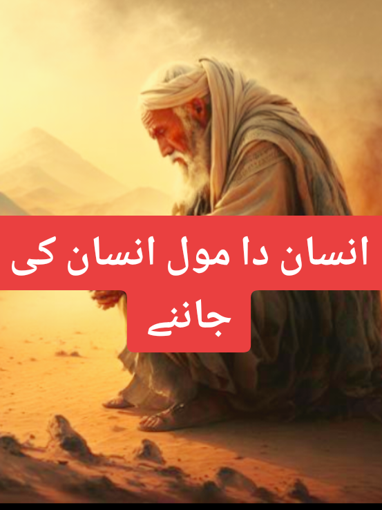 انسان دا مول انسان کی جاننے#tiktokviral #punjabikalam #punjabikalam5 #punjabipoetry #foryoupage 