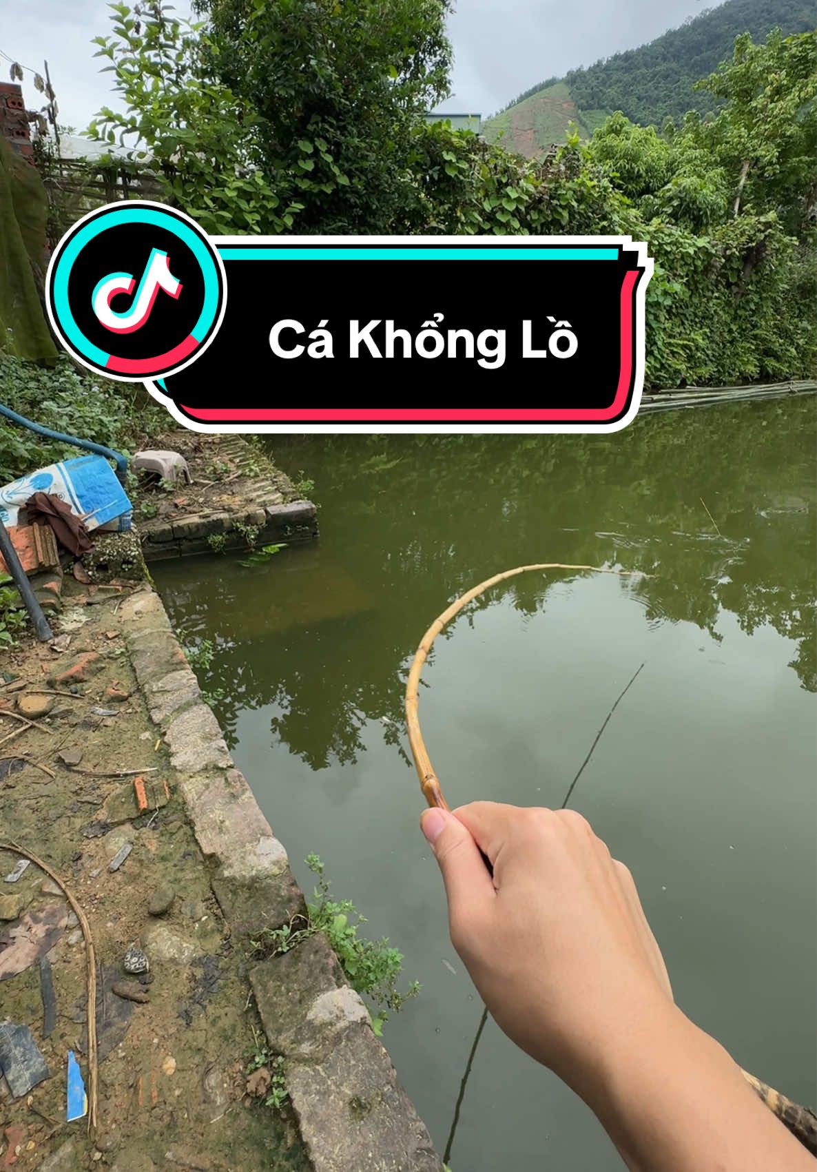 Mồi Câu Tổng Hợp Khó Chịu Đen #caucagiaitri #cauca #caucatunhien 