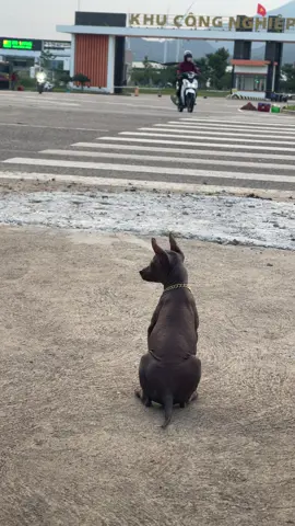 Cổng khu công nghiệp ai cũng biết ẻm😆