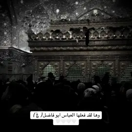 #CapCut  #هلهوله_للعباس #اكسبلور #ابو_فاضل #كربلاء 