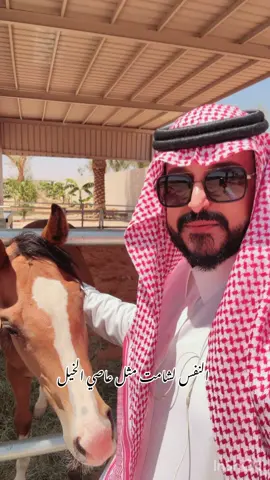 #اكسبلور #ترند #قصص #مساء_الخير #مشاهير_تيك_توك 