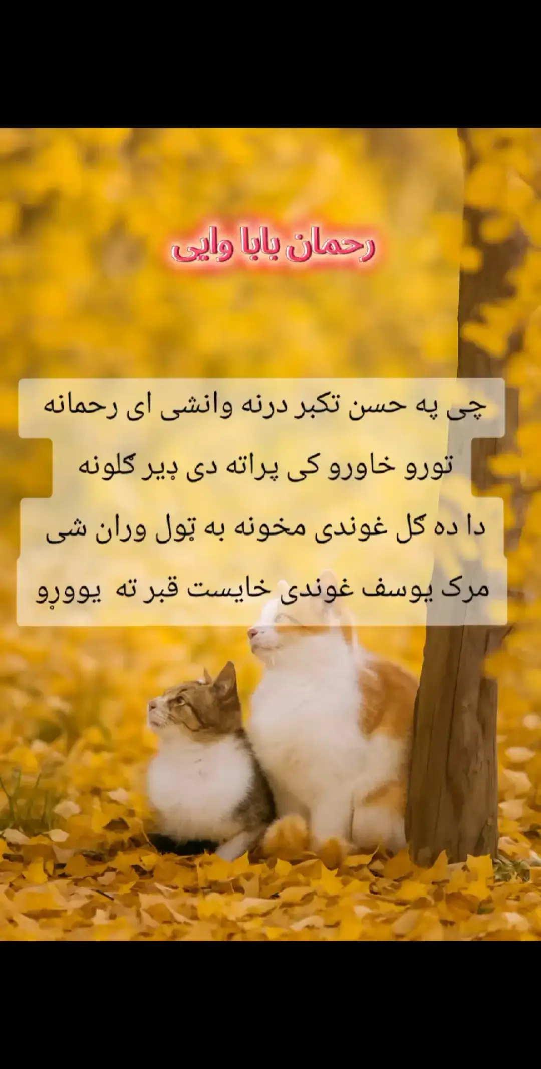 ملکر لیک او فلو کوی مننه اکونټ ولړ دی خکلی شعرونه هم کمینټ کوی #پشتوان۔تاجک۔اذبک۔ھزاہ۔ذند۔باد #afghanistan🇦🇫 #پشتوان۔تاجک۔اذبک۔ھزاہ۔ذند۔باد #AFG #په @غم اور درد🫀 @pashto types 
