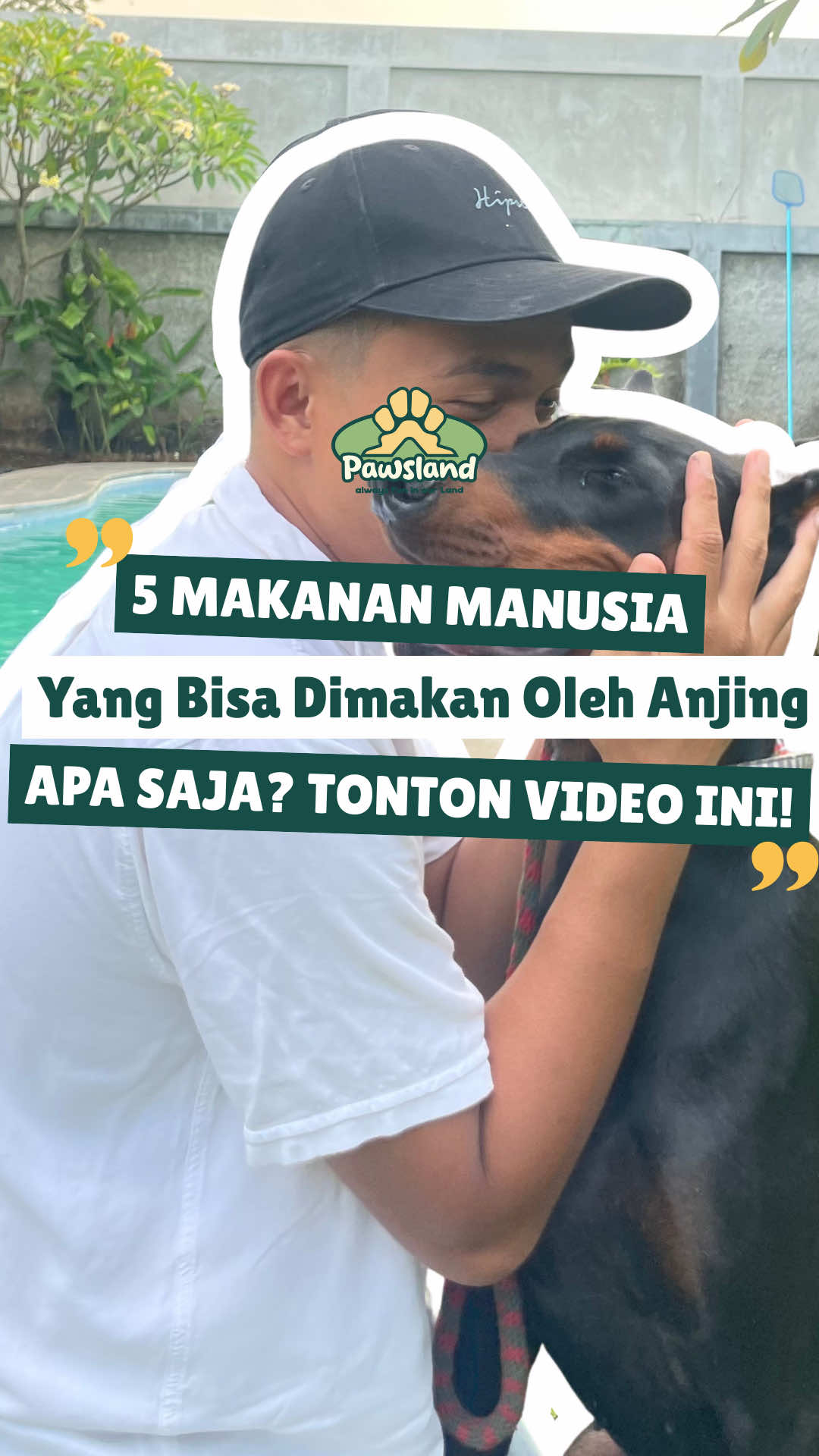 Anjing boleh makan makanan manusia? 🤔 Ternyata ada beberapa yang aman dan bermanfaat loh, pawrents! Apa aja? 🍚 Nasi → sumber energi  🐟 Ikan → bagus buat bulu  🥩 Daging → protein tinggi  🥕 Wortel → snack sehat  🎃 Labu → bantu pencernaan.  Jadi, asal porsinya pas & tanpa bumbu, makanan ini bisa jadi tambahan sehat buat anjing kamu 🐶✨ #fyp #anjinglucu #dog #dogsoftiktok #fyppppppppppppppppppppppp 