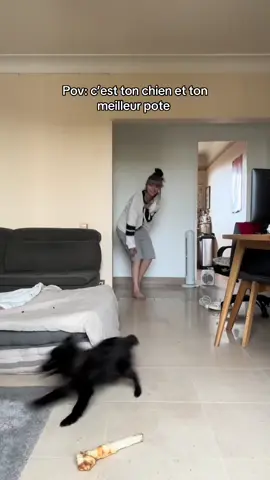😂😂