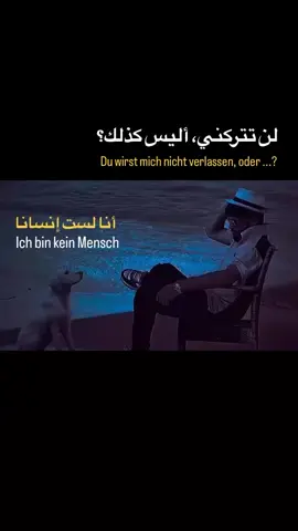 انالست إنسانا🦊 #😏😏😏  #لايكات #اكسبلور_explore #مشاهدات_تيك_توك #tik_tok 