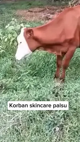 🗿🗿#meme #videoviral #videolucu #funny #foryou #viral #fyp 