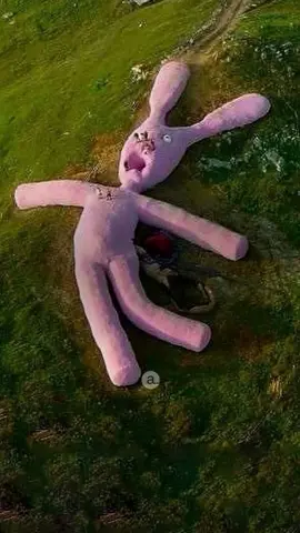 Originally intended as a playful art installation, the giant pink bunny on an Italian hillside—known as Hase—looks like a stuffed animal dropped by a child from the sky. Created by art collective Gelitin (@gelitin_official), the 200-foot-long plush sculpture became a surreal landmark, so large it could even be seen from space. Its whimsical, oversized design captured imaginations worldwide, turning it into an unexpected monument of absurdity and wonder.