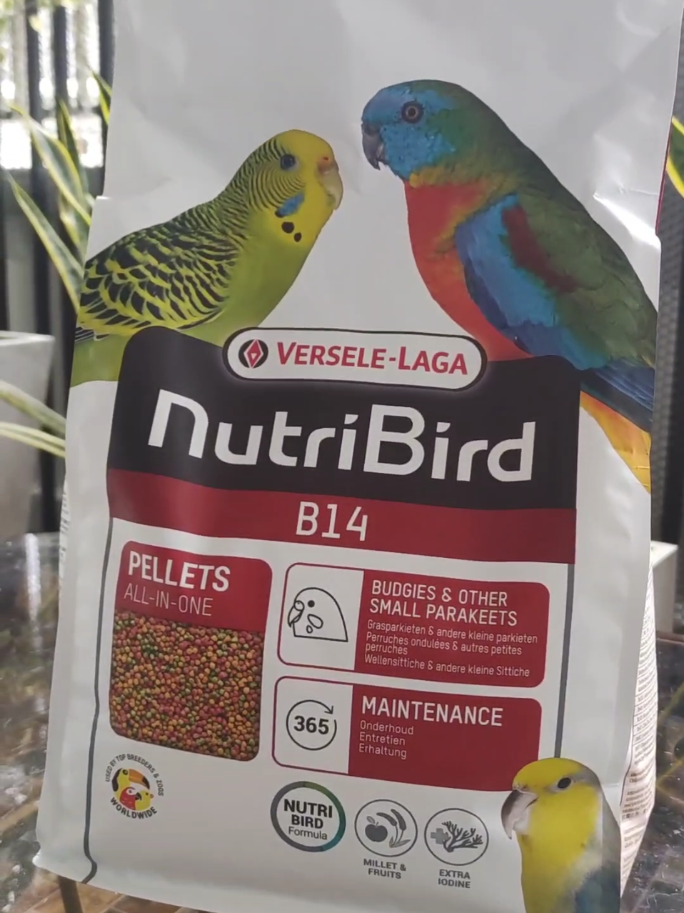 #nutribirdb14 #อาหารนกกรงหัวจุก #อาหารนกnutribird #หัวจุกภูธร👮🏻‍♀️ #ความสุขของฉัน 