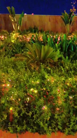 فيا الرياض- خروجات الرياض#wego🥰🥰 #ويجو🥰🥰 #طلعاتي_وتصويري🦋 #ترند_تيك_توك_مشاهير #ترندات_تيك_توك 