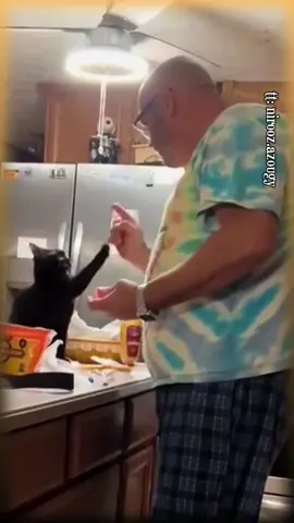 Instant karma 😂 #funny #karma #cats #pets #animals #viralvideos #foryou #blowthisup #fypシ #viral #foryoupage #fail