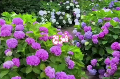 اسم فـــــــــࢪح بالقصائد 🤏🏻💖.  #فرح#باسم_الكربلائي #fyp #viral #explore 