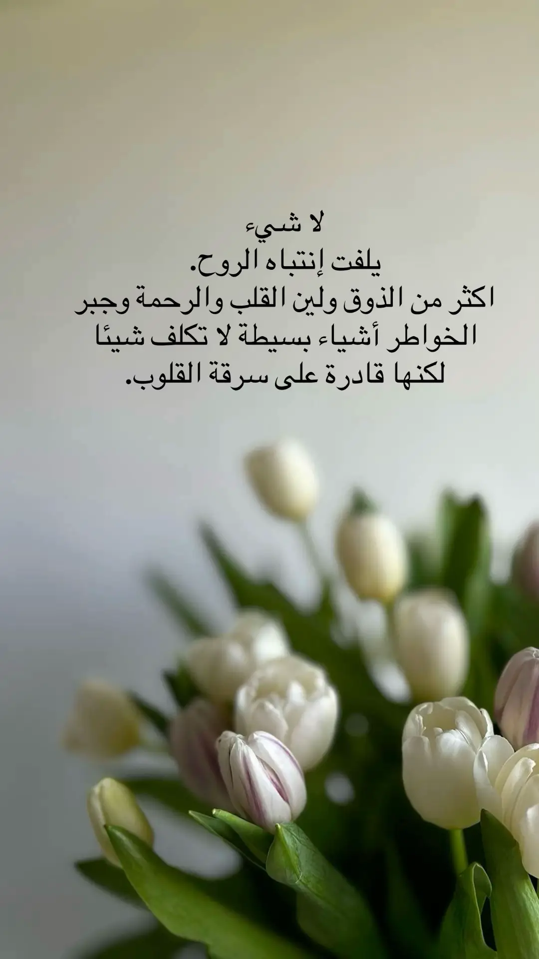 @ارتست كلثوم 💄📸 #حسابي_الثاني💜 #اميرة_الكون #اقتباسات_عبارات_خواطر #اكسبلورexplore #لاتنسوا_لايك_ومتابعة 