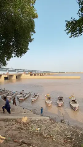 ❤️❤️ #foryou #foryoupage #viralvideo #fyp #almanzarjamshoro 