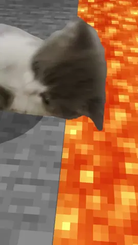 meo meo #Minecraft 