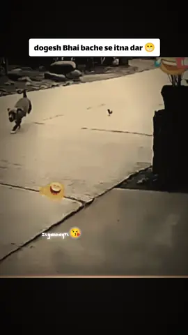 dogesh Bhai bacche se itna dar 😁#fpy #funnyvideos #foryou #explore #funnytiktok 