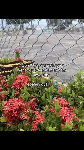 por todas as minhas quartas 🙌🏻🤎#macumbaprairprofy #oyá #iansa #candomble #umbanda 