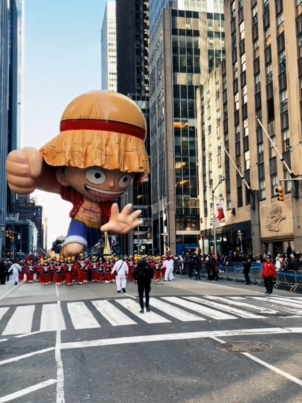 #onepiece #onepieceflag #demonstrators #freedom #onepieceworld 