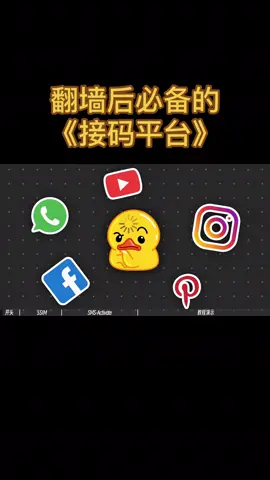 翻墙后必备的手机号接码平台推荐 #接码 #翻墙 #查档 #开盒 #开户 #开房记录 #社工库 #手机定位 