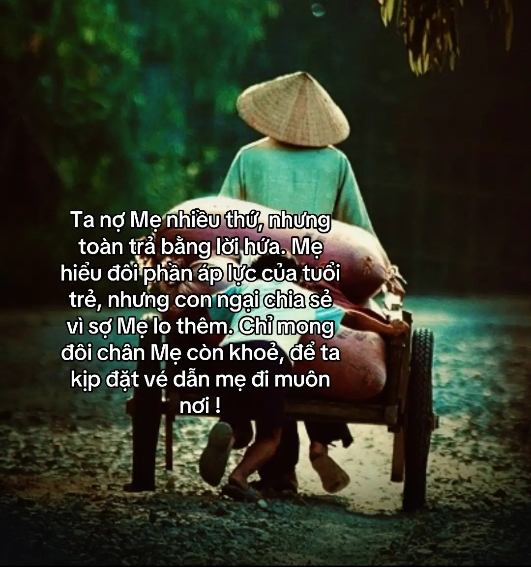 我欠你很多，但我總是用承諾來回報你。你理解年輕人的壓力，但我不敢分享，因為我怕你會更擔心。我只希望你的腿還健在，這樣我就可以訂票帶你去各地了！ #xuhuong #tamtrang #fyp 