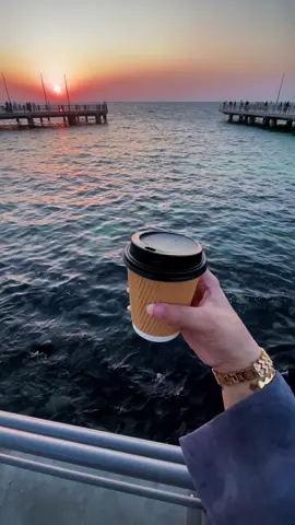 يا روح البحر ❤️ #فضل_شاكر #ترند #جديد #اكسبلور #قهوتي 