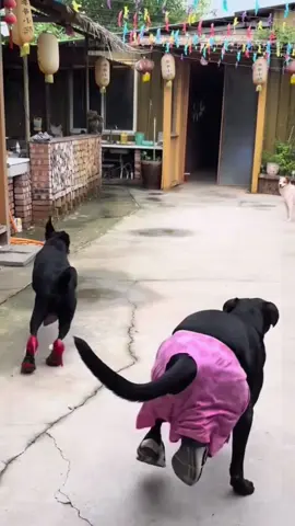 High heels 👠 queen, showing off my fashion style at any time. 😄😄😄