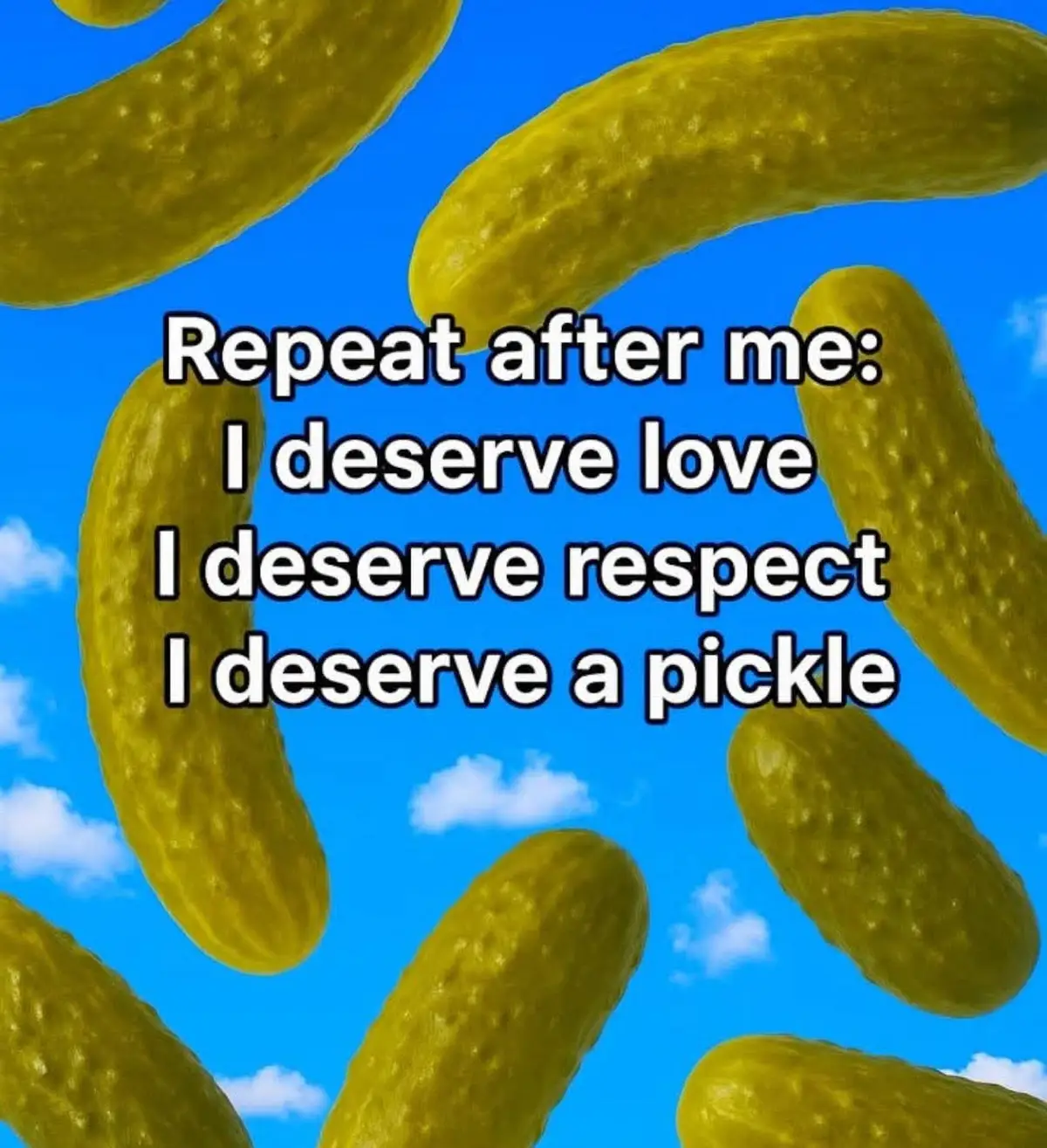 I just love pretty much anything to do with pickles. Im looking for a short bus to paint like a pickle...ya got one? #investor #manifesting #Santa #sugardaddy 