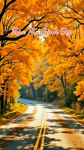 Lê hữu hạnh #Riview Cảnh Quan Thiên Nhiên #xuhuong #canhdepthiennhien#videogiaitri2025#lenxuhuong 