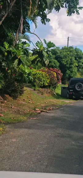 The one dark psychology secret to gaining espect.@VibraGoods  #darkpsychology #mindset #power #psychologyhacks #SelfImprovement 