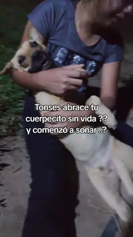 Te crié de 10 días de nacido y verte así me destruyó por completo estos 3 años fueron los mejores y nunca olvidaré eso momentos vividos contigo Siempre serás mi chiquito siempre salias a recibirme cuando llegaba del liceo, y pensar q ya no me volverás a recibir me destruyó más , Mi soldado de Jesús 😭🐕, Otro perrito no será como tú, tú me protegía 🥺🐕 Te Amo y te amaré toda mi vida 🐕💔😭