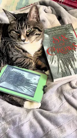 Are you a #kindle person or physical book? #BookTok #cat #sixofcrows #whychoose