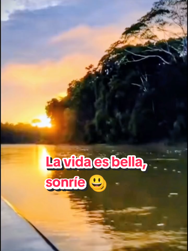 Sonríe a la vida, levántate y sigue de pie. #buenosdias  #tiempoyoportunidades  #sonrieysefeliz  #CapCut 