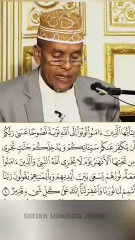 sheikh mohamed Ismail!! #somalitiktok #foryoupage #somali #sheikh #vira 