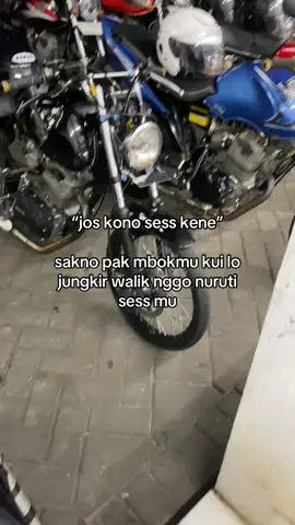 Ngrembek kabeh🤣#walisongoofficial #w9style #w9 