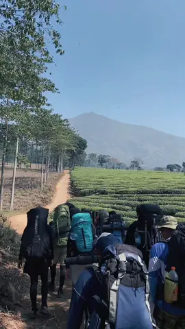 telat ikut🤣#arjuno3339mdpl #pendakigunung #arjunowelirang #fyp #foryou 