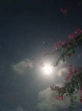 good night 🌚🌚🥱 #gentabuana #gerhanabulan #cumanlagudoangya😁🙏😂 #musikviral 