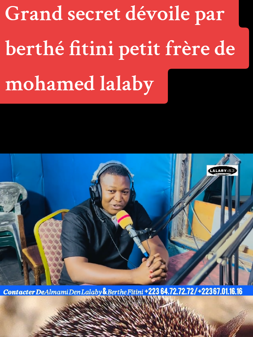 #leprincedelalabyjunior mohamed lalaby wattsapp 00223 64727272 