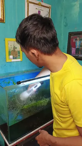 Sikat elektrik dari MODOFO yg udah simple dan praktis banget #sikatelektrik #sikatkamarmandi #sikatelektrikmultifungsi 