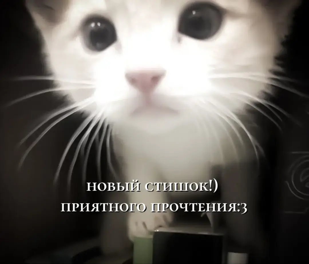 #стихидлядуши #смерть #привязанность #поэт #щп #рекомендации #начинающийпоэт #стихи #грусть #люблю #любовь #любимая #ангел #котик #реки 
