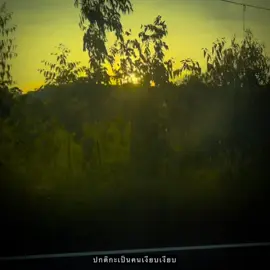 🙀#เธรดเพลง #รับโปรโมทเพลง #ยืมลงสตอรี่ได้ #เธรดเพลง #เพลง 