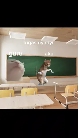 hina hina merpati 🤣#memes #capcut #fyppppppppppppppppppppppp #fyp 