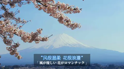 You are very special. I like you very much.#travel #japan #mtfuji 