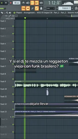 Tran-Quila 🇧🇷😏🔥 #brasil #perreo #funk #reggaetonviejito #fiesta 