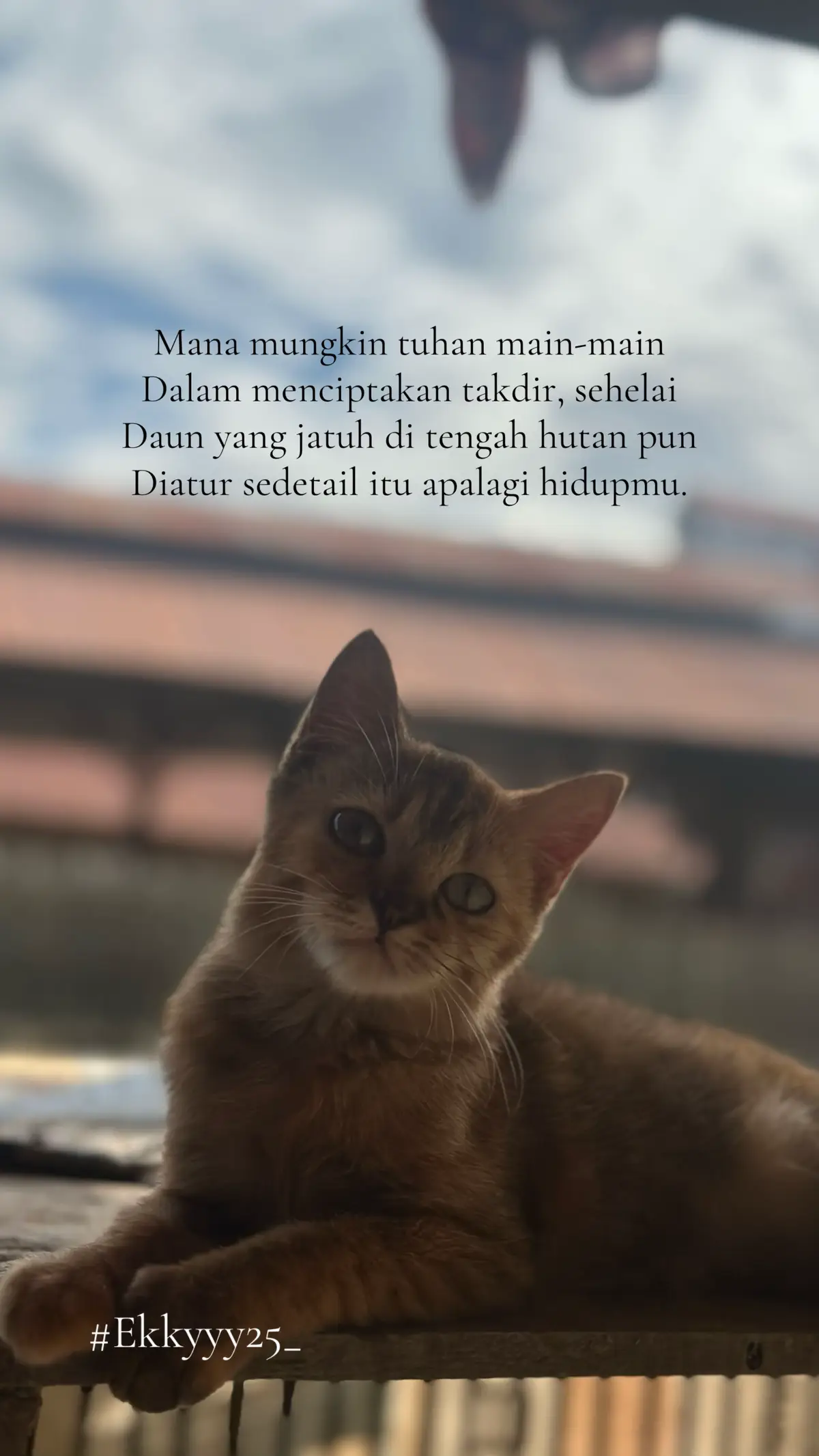 #fyppppppppppppppppppppppp #fypdonggggggg #katakata #storykatakata 
