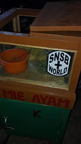 info bakul sing luwih swangar🤣@snsbworld #me #4u #brebes24jam 