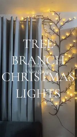 Tree branch Christmas lights#christmaslights #treebranch #willowvinelights #christmastree 